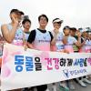 제23회 경기마라톤 사진