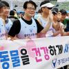 제23회 경기마라톤 사진