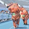 제23회 경기마라톤 사진
