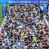 제23회 경기마라톤 사진