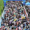 제23회 경기마라톤 사진