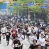 제23회 경기마라톤 사진